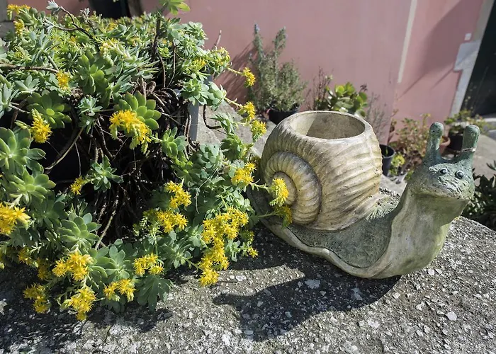 Lala Dom wakacyjny Áno Korakiána